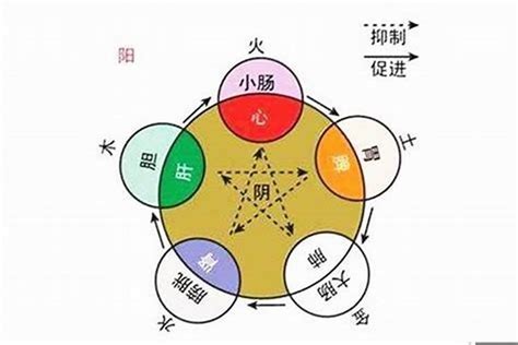 九 五行|九的五行属性是什么